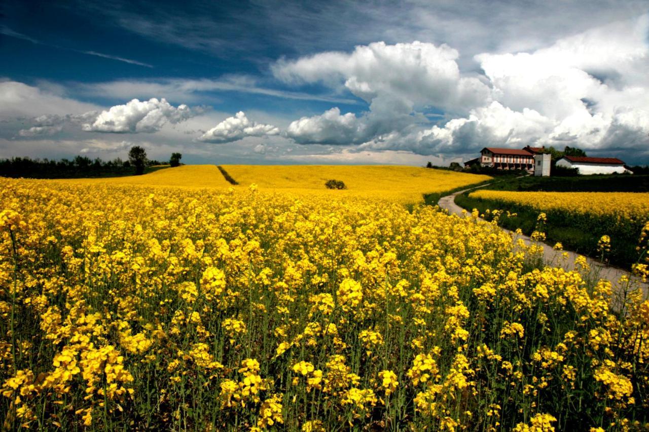 Il Poggio Agrisport Vila Poirino Exterior foto